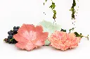ChatGPT Image 4 ago 2026, 16_41_31.webp