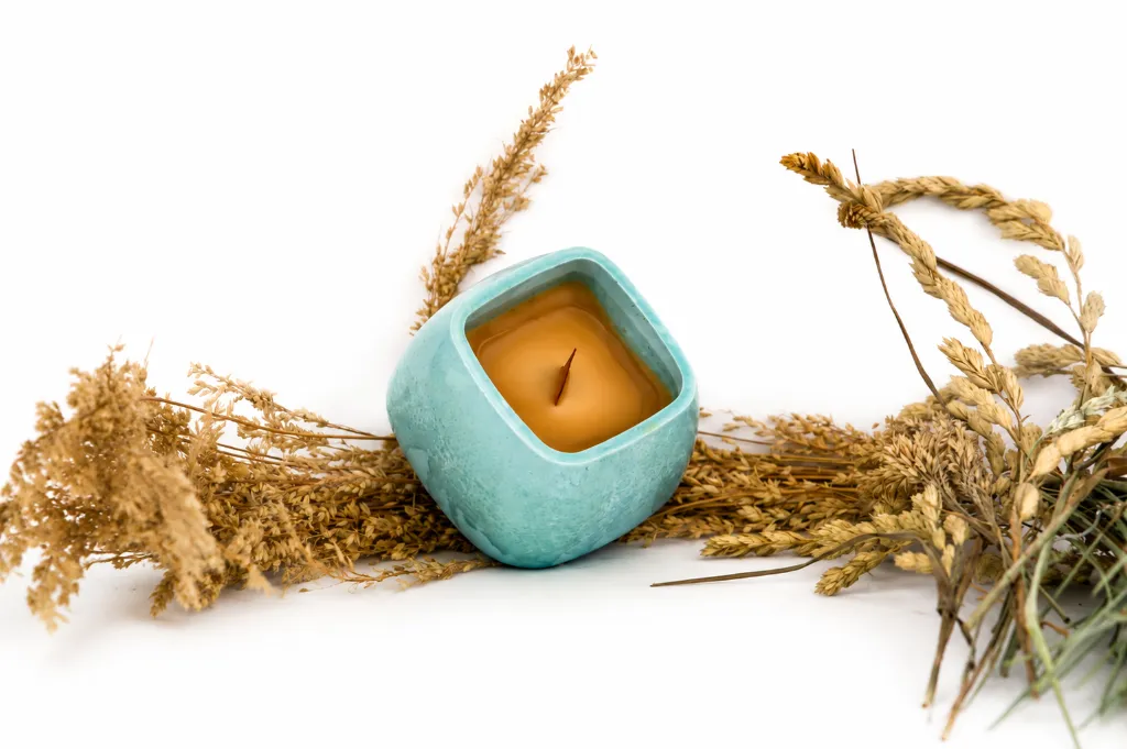 ChatGPT Image 6 ago 2026, 14_17_35.webp