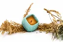 ChatGPT Image 6 ago 2026, 14_17_35.webp