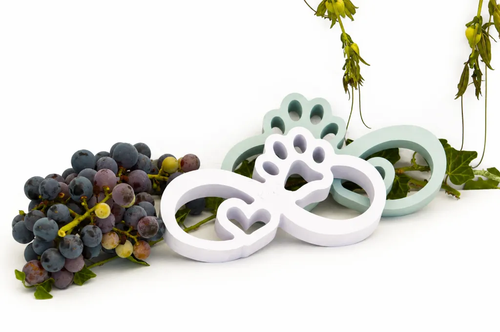 ChatGPT Image 6 ago 2026, 14_21_15.webp