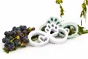 ChatGPT Image 6 ago 2026, 14_21_15.webp