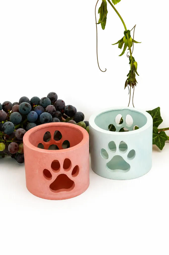 ChatGPT Image 6 ago 2026, 14_22_31.webp