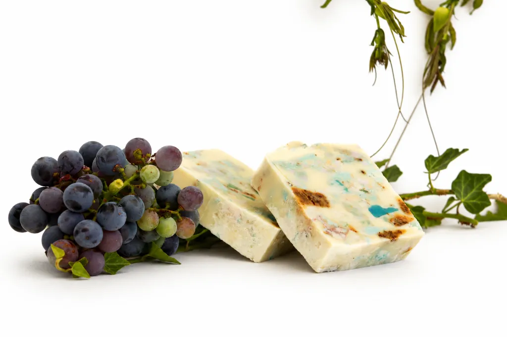 ChatGPT Image 6 ago 2026, 13_46_32.webp