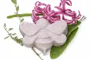 Sapone Latte e Agrumi